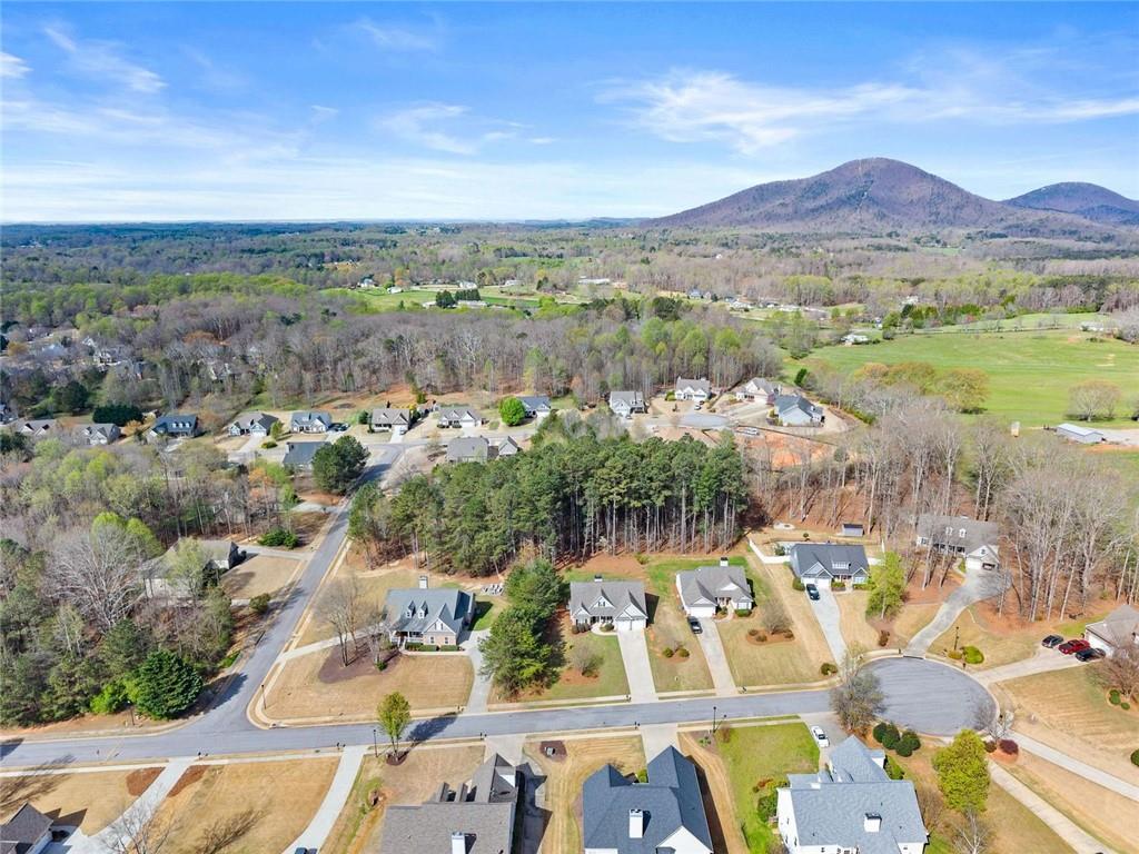 6611 Station Drive Clermont, GA 30527 - Photo 39 of 40