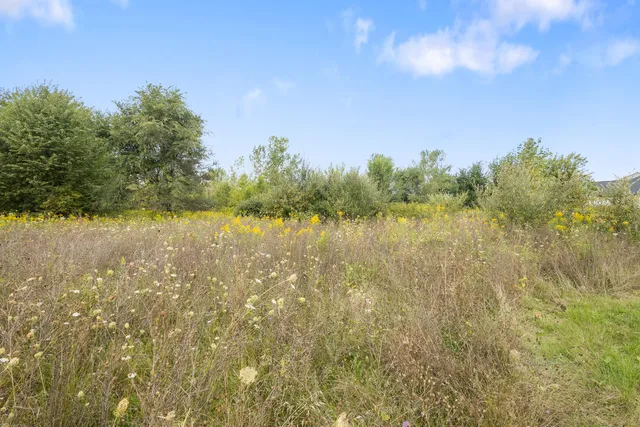 $55,000 | 14460 C.B.MacDonald Way, Vicksburg, MI 49097