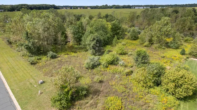 $55,000 | 14460 C.B.MacDonald Way, Vicksburg, MI 49097