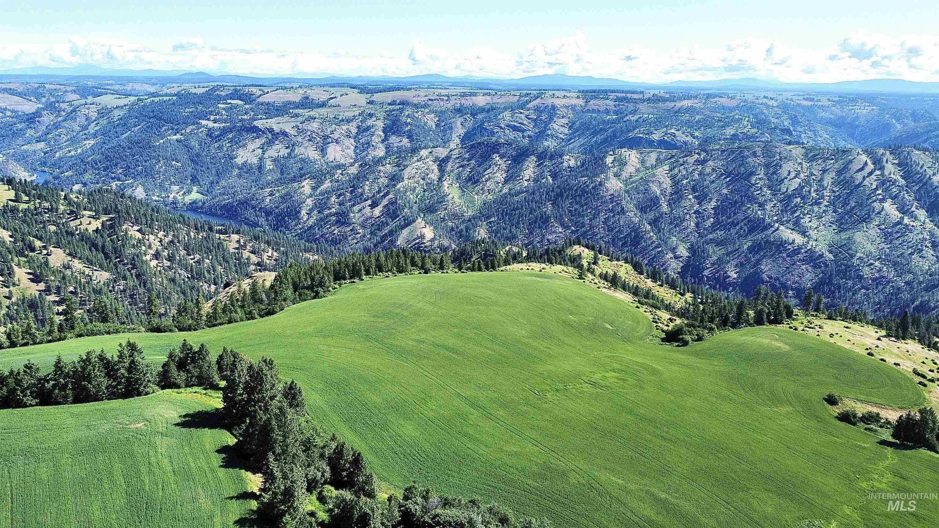 Tbd Waters Road Nezperce, ID 83543 - Photo 1 of 1 Gallery Image 1