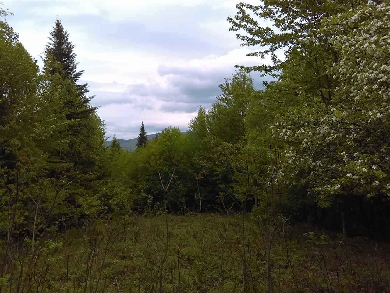 90 Town Line Road Stratford, NH 03590 - Photo 5 of 16