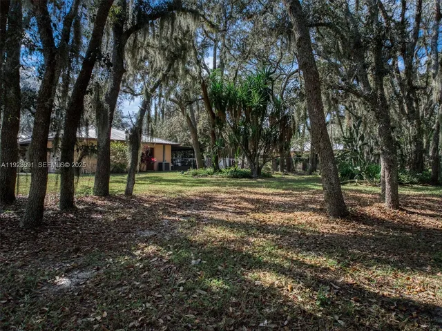 a view of outdoor space with trees
