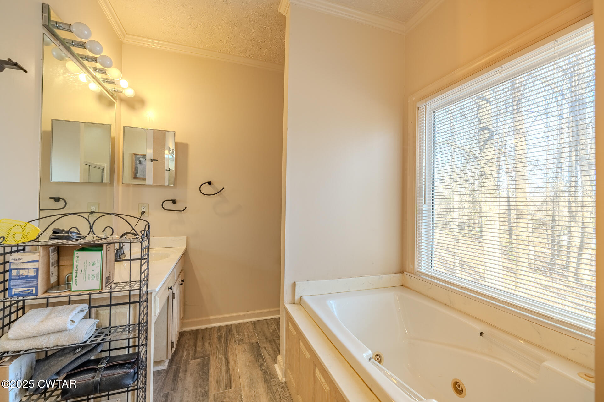 43 Paddock Place Jackson, TN 38305 - Photo 17 of 38 a bathroom with a bathtub a sink and a window