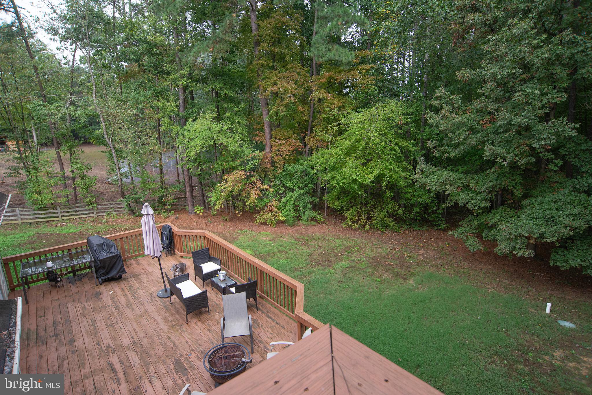 345 Mt Olive Road Stafford, VA 22556 - Photo 13 of 66