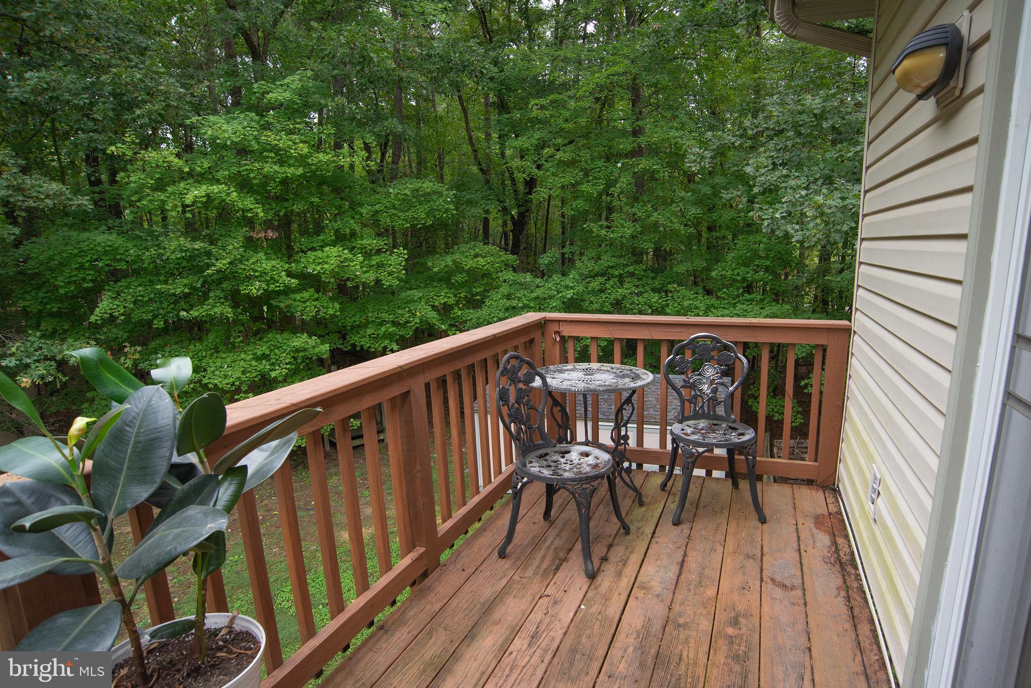 345 Mt Olive Road Stafford, VA 22556 - Photo 16 of 66