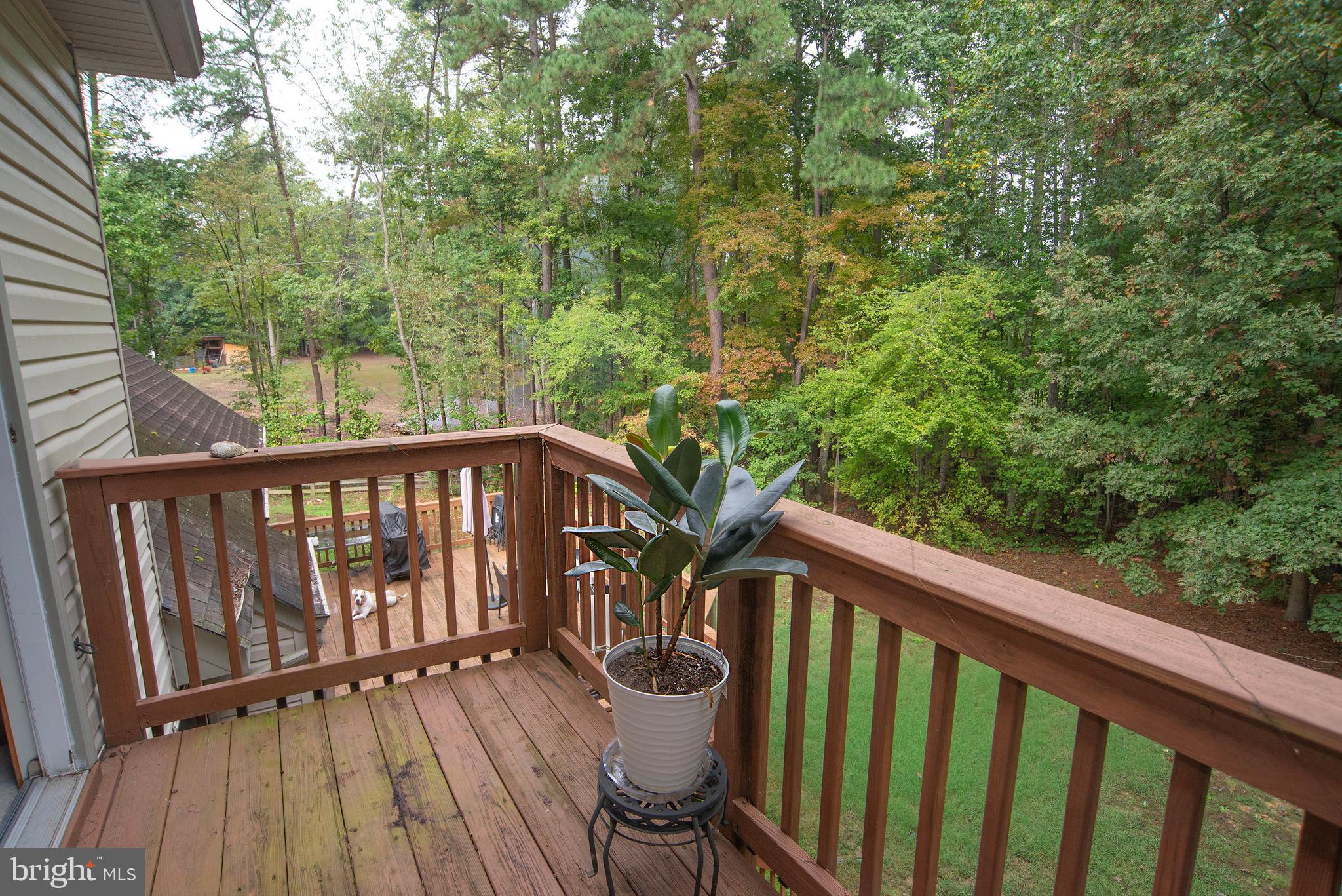 345 Mt Olive Road Stafford, VA 22556 - Photo 17 of 66