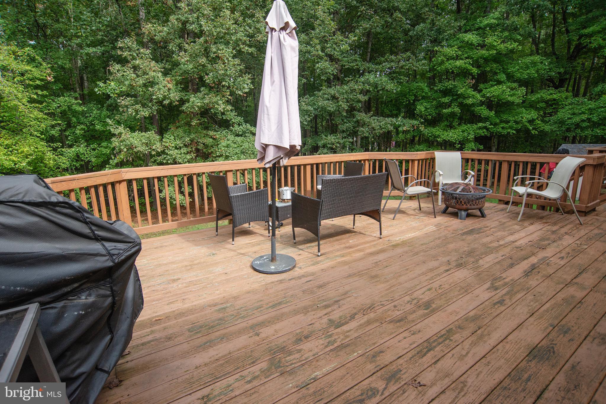 345 Mt Olive Road Stafford, VA 22556 - Photo 19 of 66