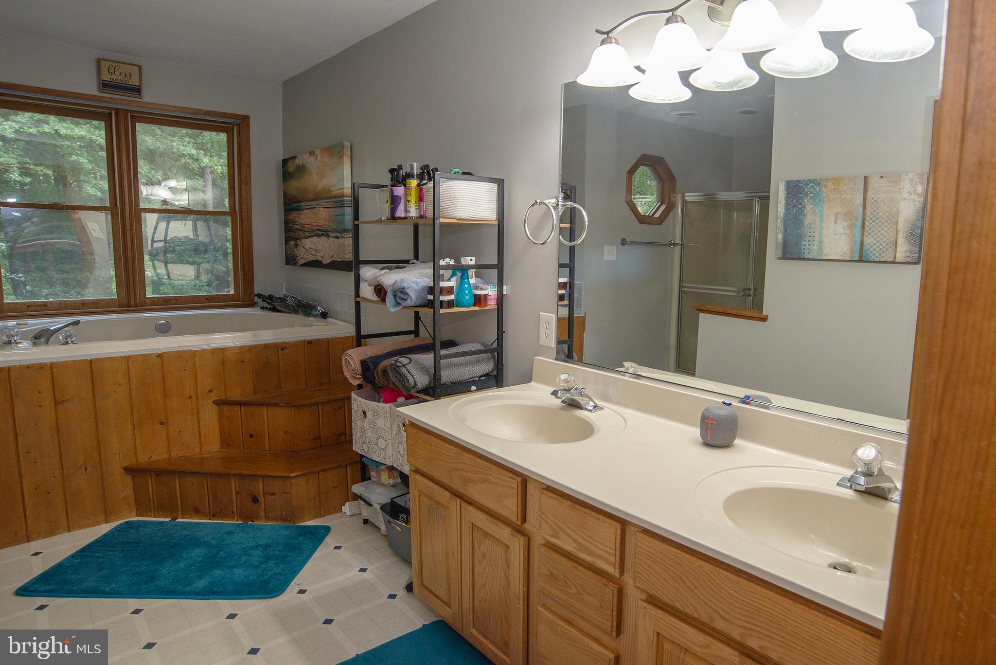 345 Mt Olive Road Stafford, VA 22556 - Photo 27 of 66 Primary Bathroom