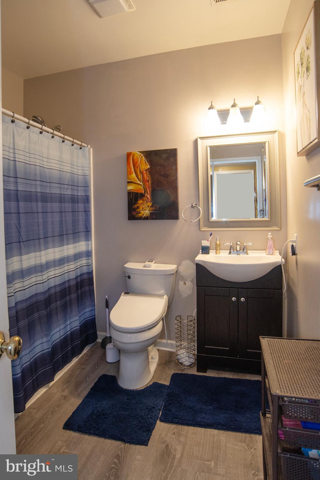 345 Mt Olive Road Stafford, VA 22556 - Photo 53 of 66 Basement Bathroom