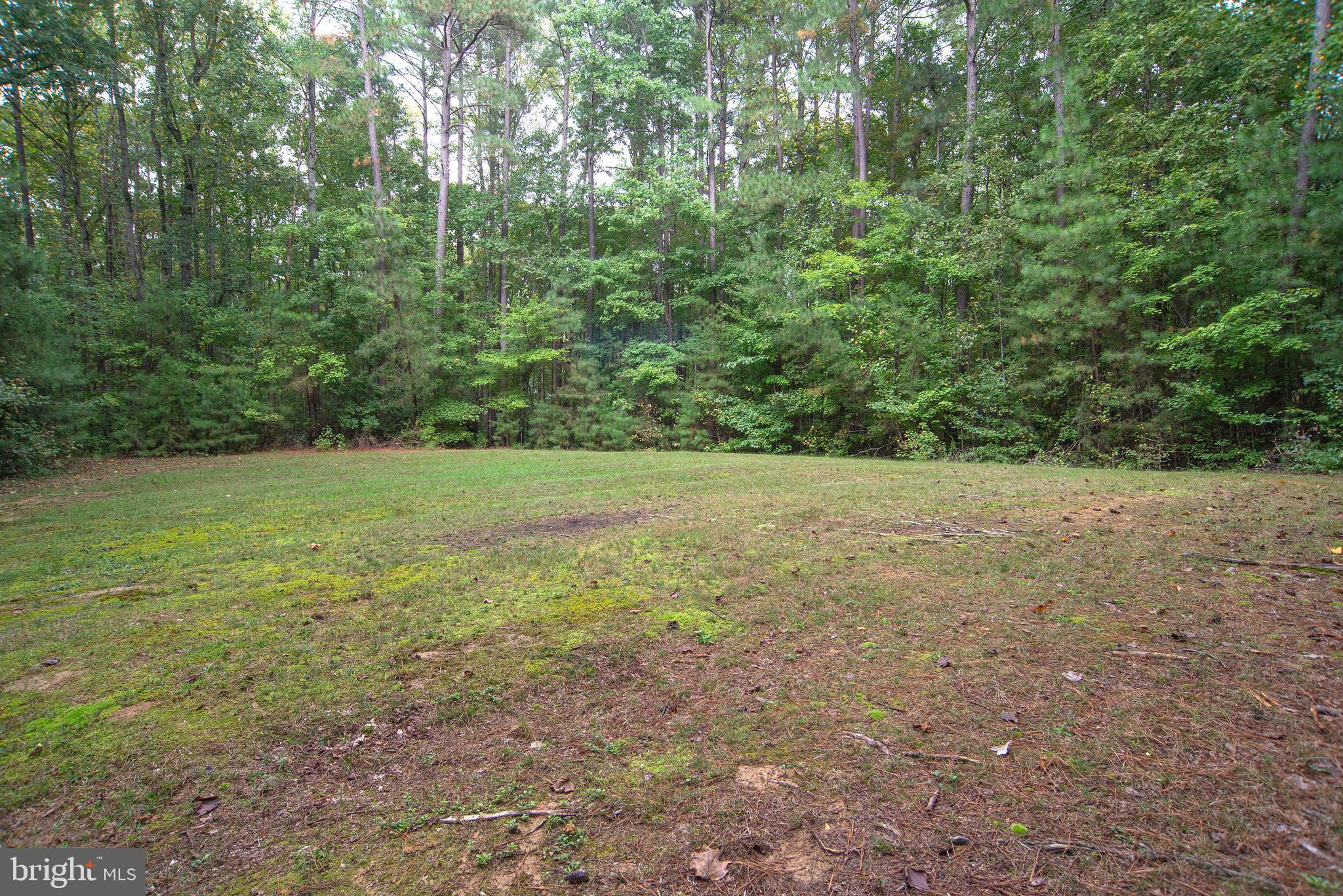 345 Mt Olive Road Stafford, VA 22556 - Photo 63 of 66