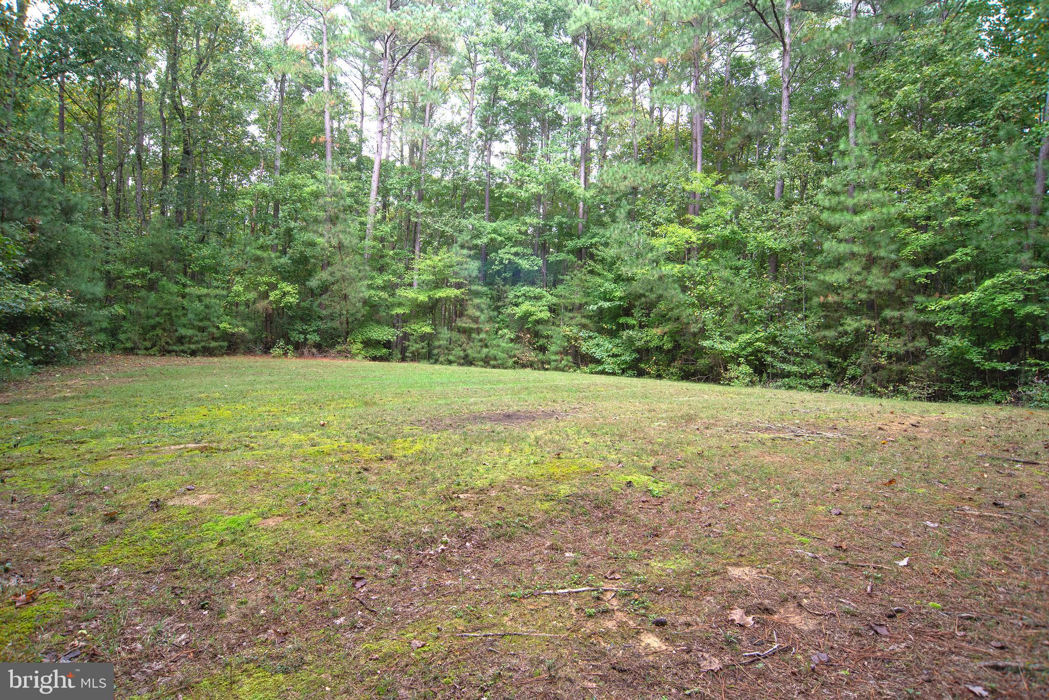 345 Mt Olive Road Stafford, VA 22556 - Photo 65 of 66