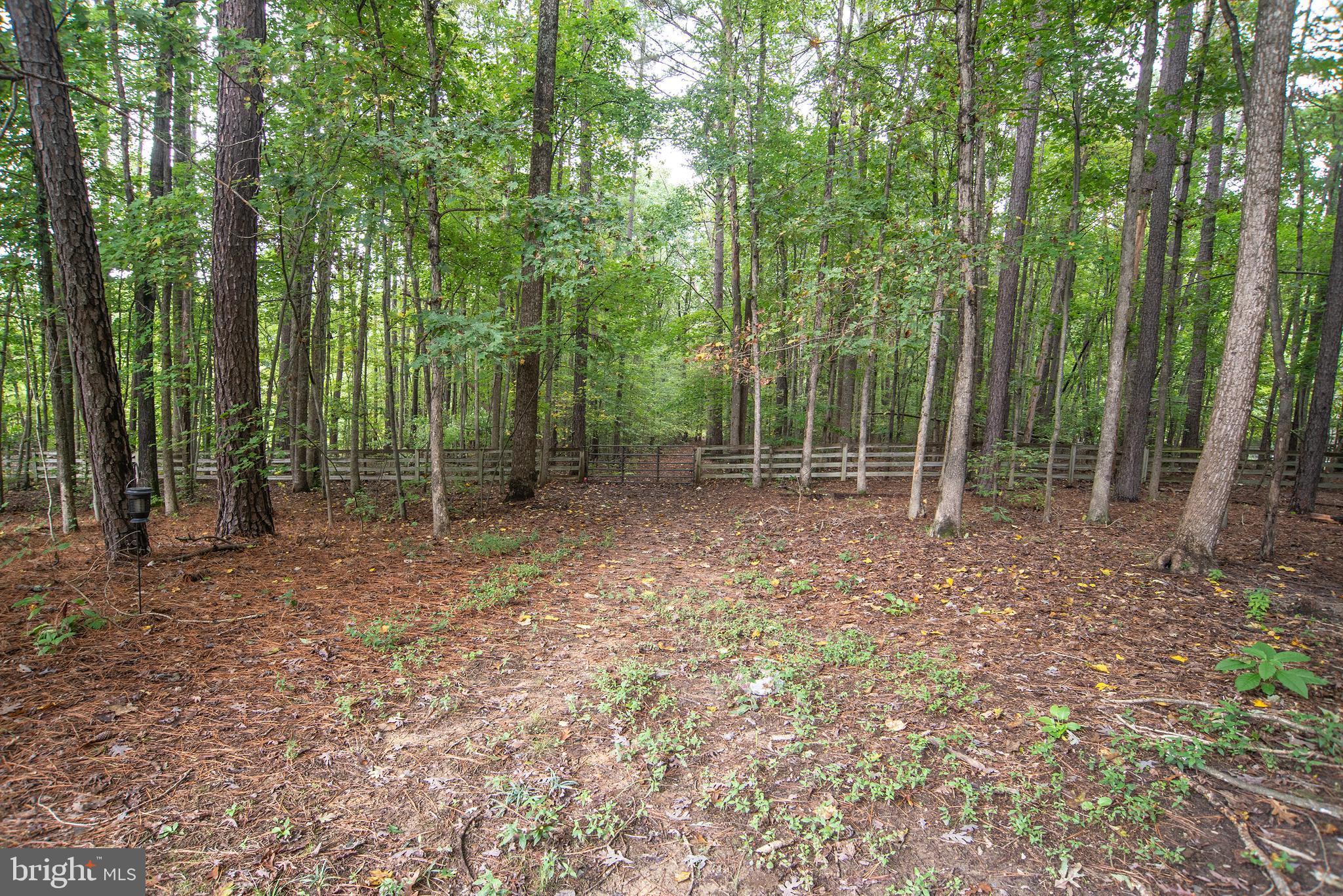 345 Mt Olive Road Stafford, VA 22556 - Photo 66 of 66