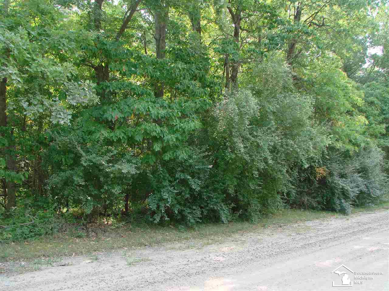 0 Wells Road Petersburg, MI 49270 - Photo 4 of 5