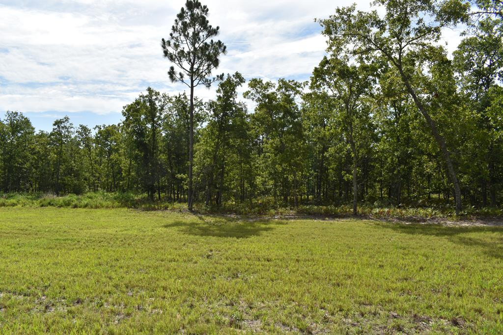 Lot 2 Centerwood Road Windsor, SC 29856 - Photo 1 of 5