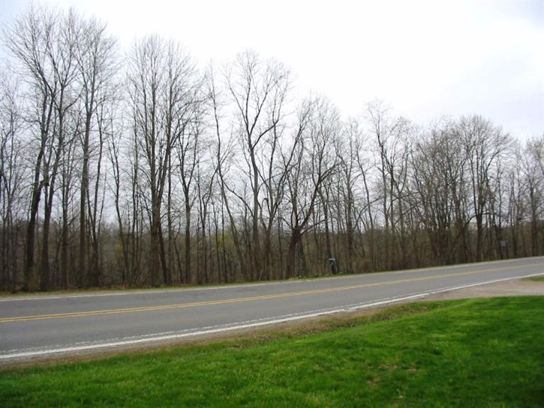 14080 East Austin Road Manchester, MI 48158 - Photo 12 of 44 Photo 12