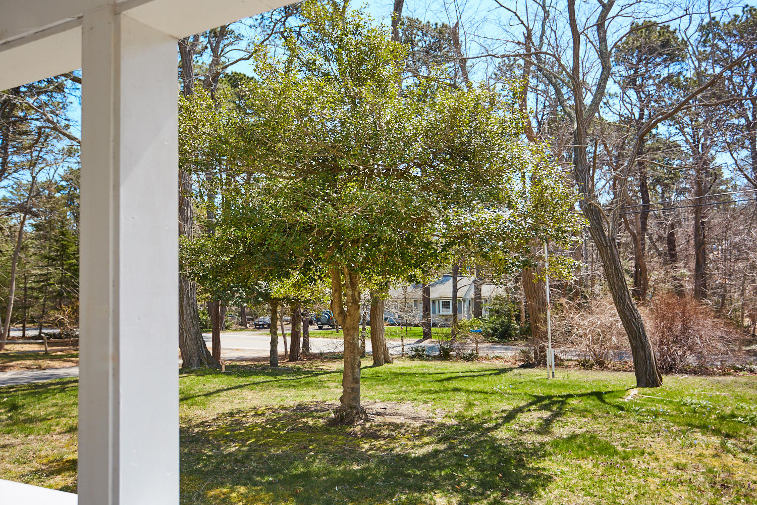 90 Pilgrim Spring Road, Unit 2667 Wellfleet, MA 02667 - Photo 23 of 25 a view of backyard with tree