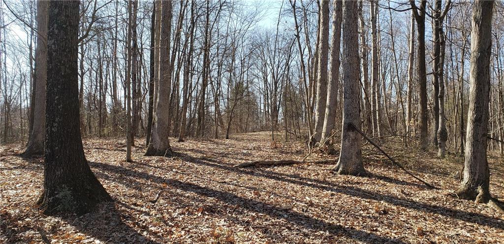 5185 Hill Road Brookville, IN 47012 - Photo 11 of 22 Gallery Image 11