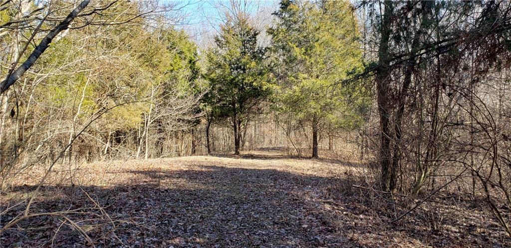 5185 Hill Road Brookville, IN 47012 - Photo 7 of 22 Gallery Image 7