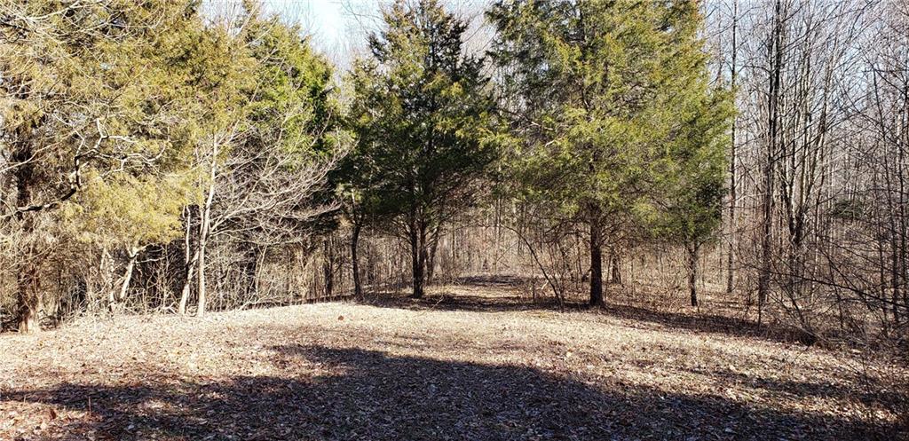 5185 Hill Road Brookville, IN 47012 - Photo 8 of 22 Gallery Image 8
