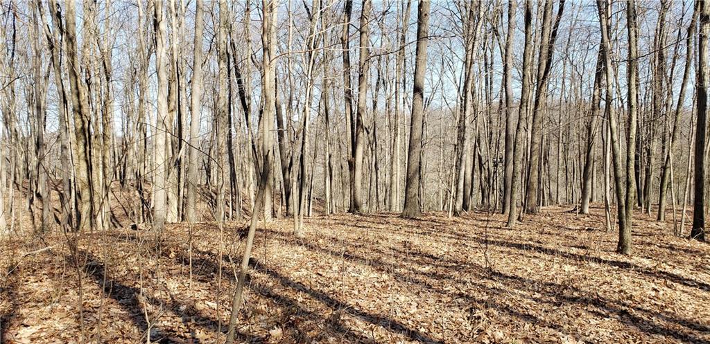 5185 Hill Road Brookville, IN 47012 - Photo 9 of 22 Gallery Image 9