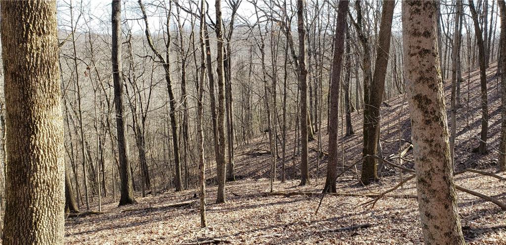 5185 Hill Road Brookville, IN 47012 - Photo 10 of 22 Gallery Image 10
