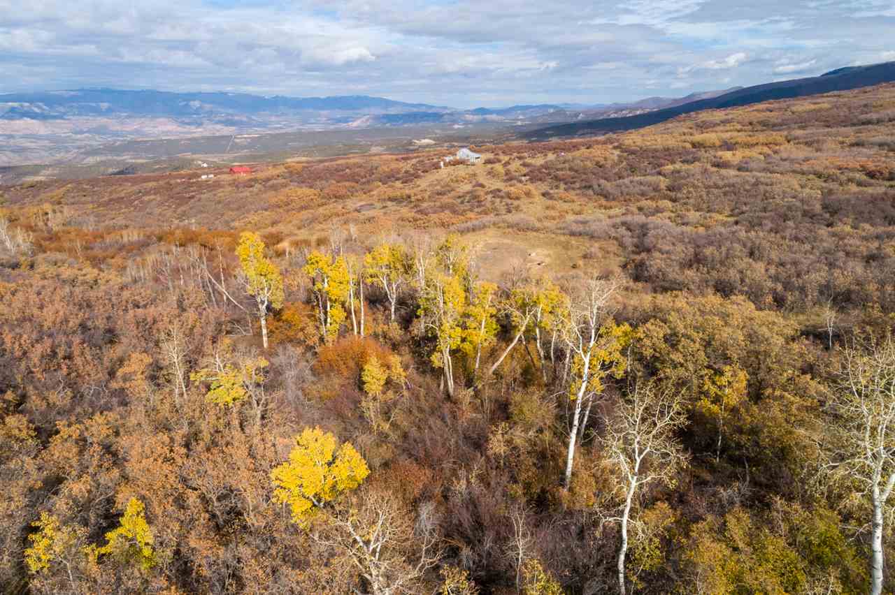 53000 Bull Basin Road Molina, CO 81646 - Photo 28 of 33 Gallery Image 28