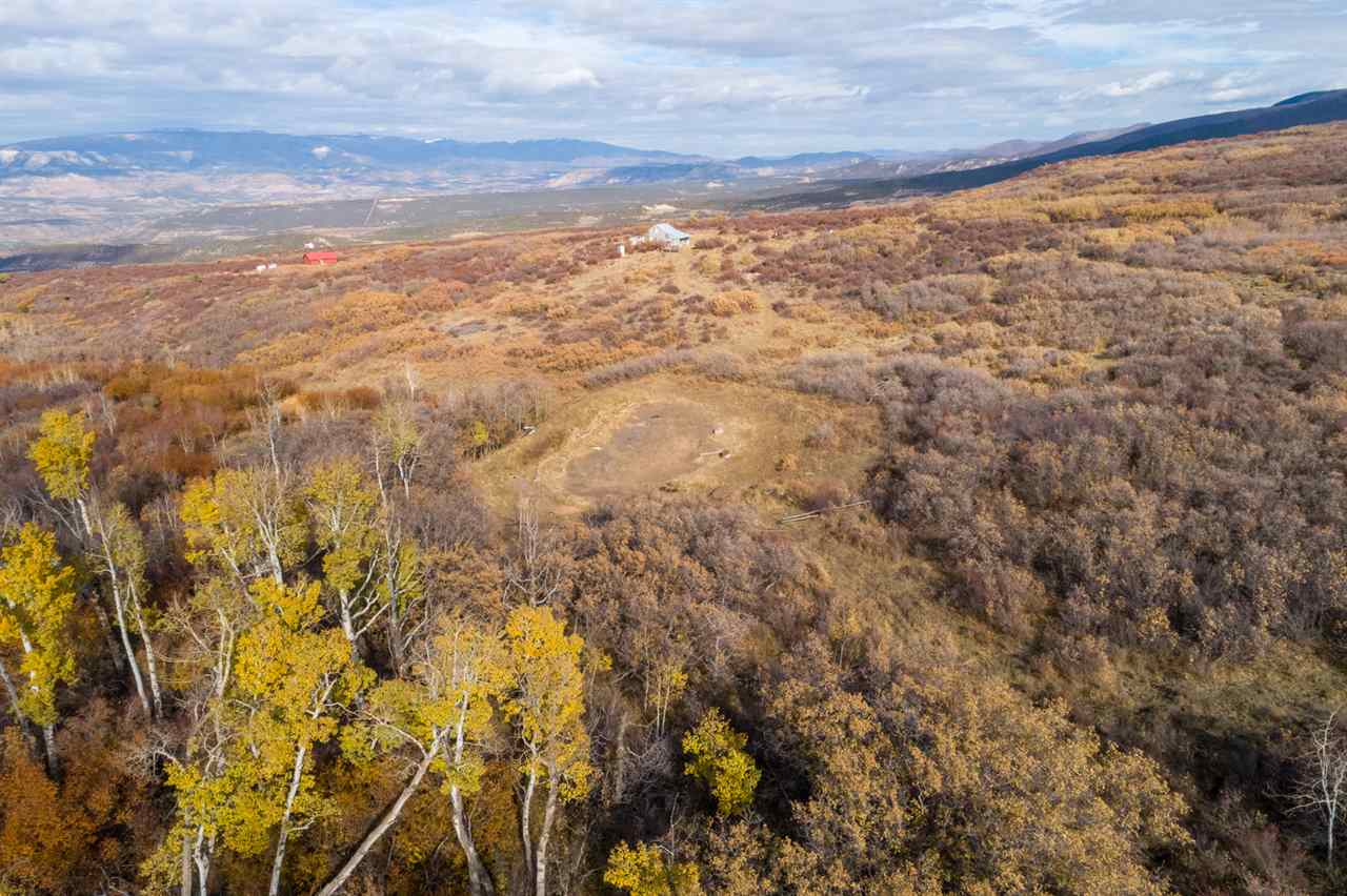 53000 Bull Basin Road Molina, CO 81646 - Photo 29 of 33 Gallery Image 29