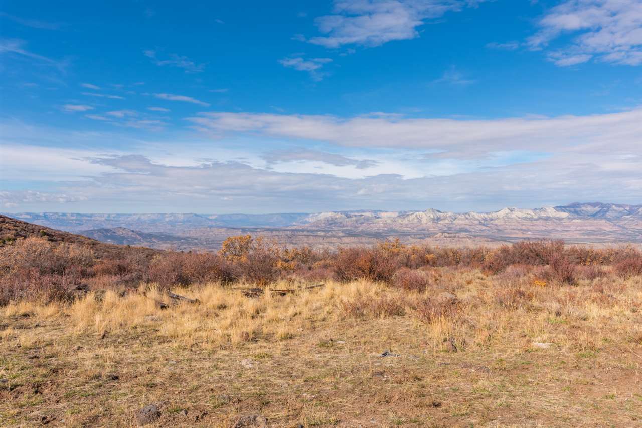 53000 Bull Basin Road Molina, CO 81646 - Photo 30 of 33 Gallery Image 30