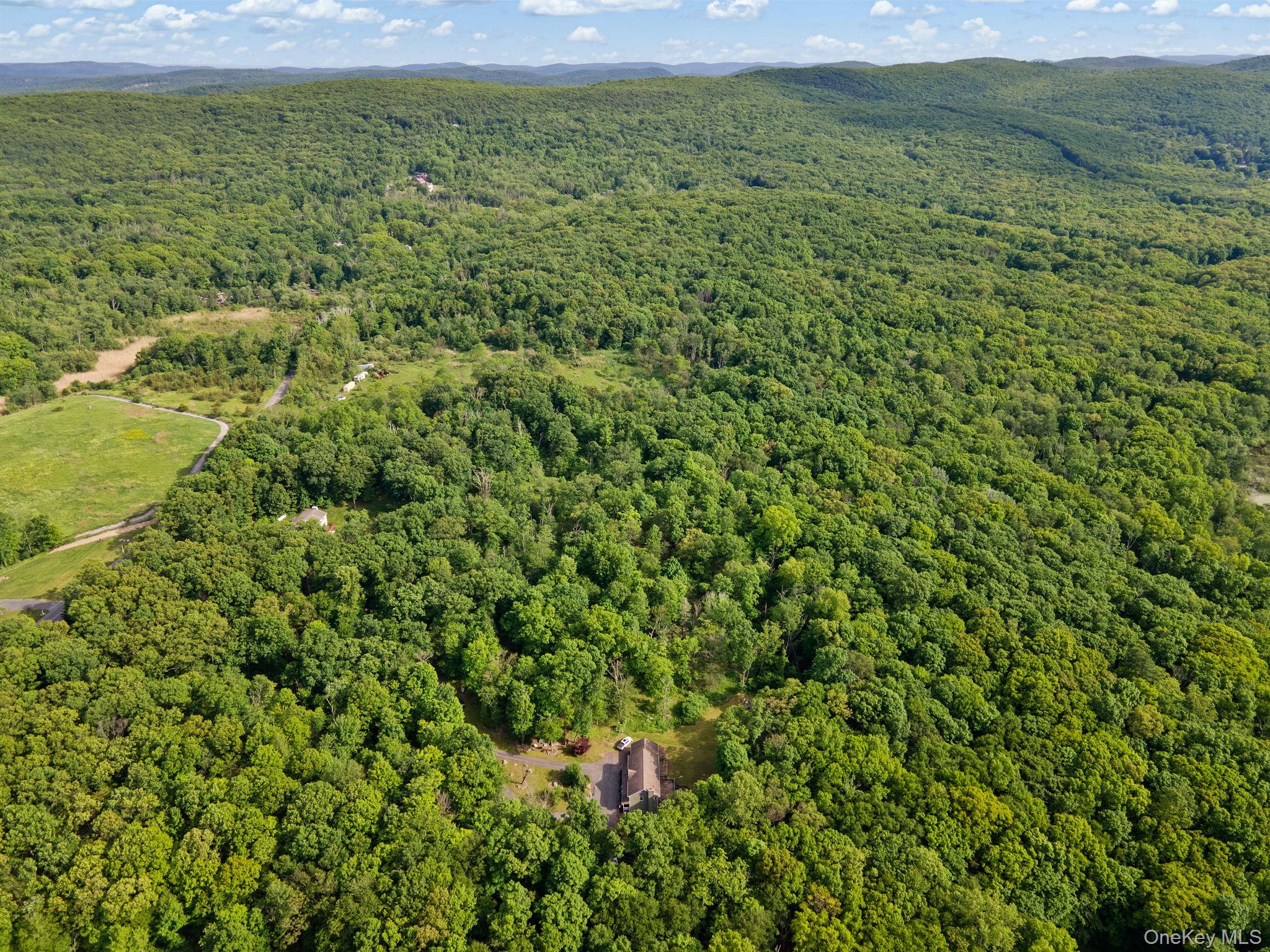 181 Penaluna Road Monroe, NY 10950 - Photo 33 of 33