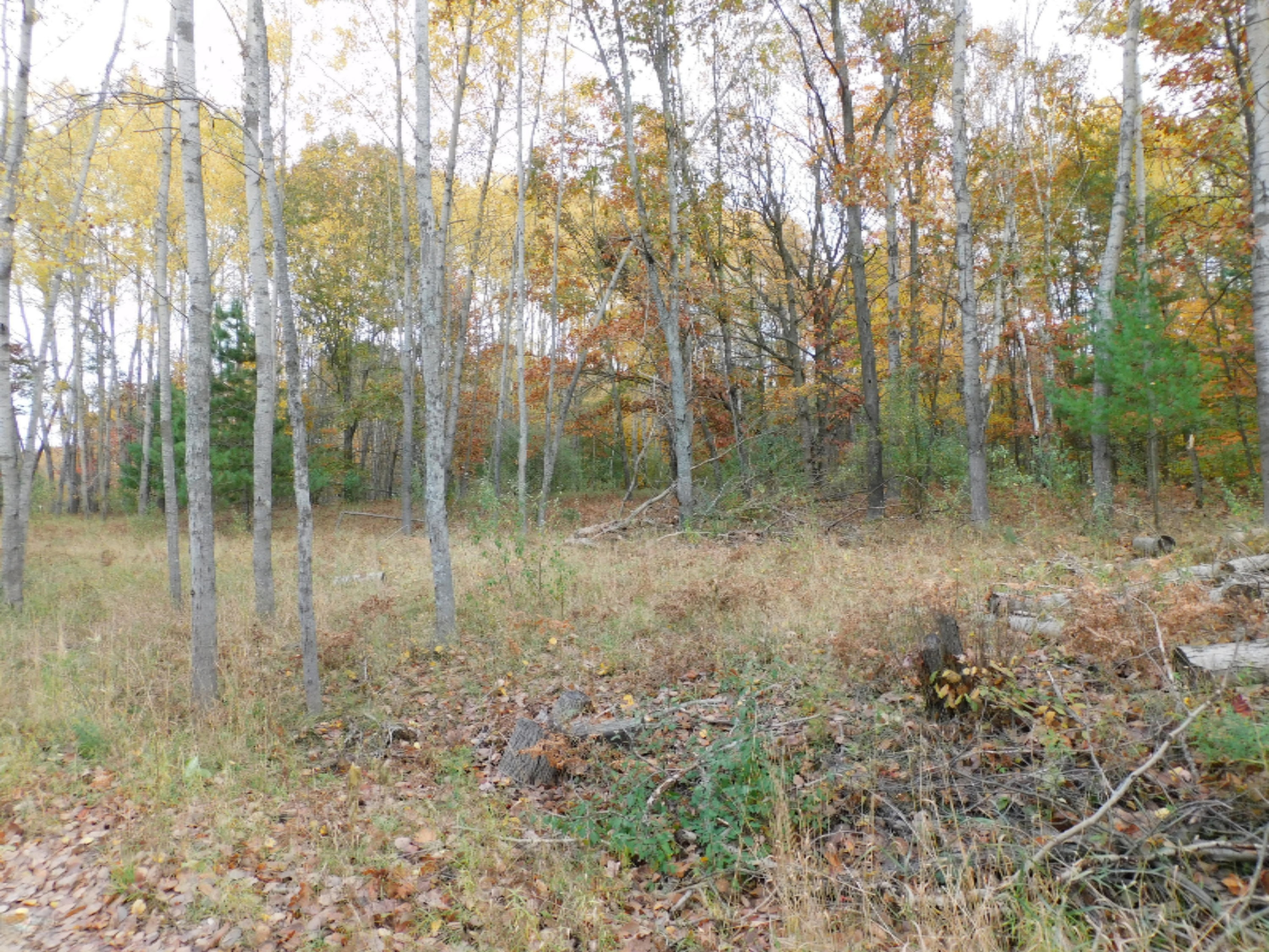 North Elm Reed City, MI 49677 - Photo 11 of 12 DSCN0058
