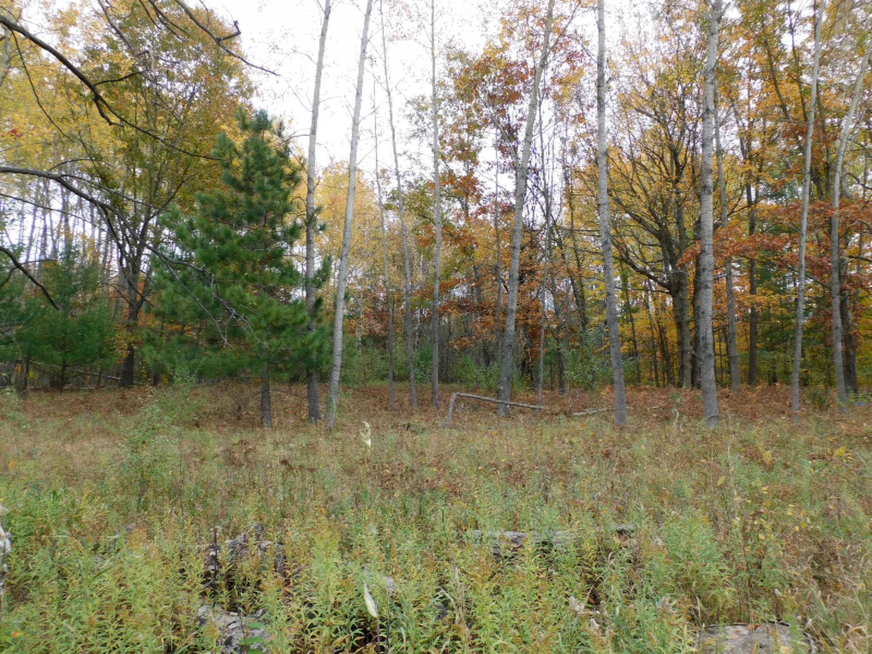 North Elm Reed City, MI 49677 - Photo 10 of 12 DSCN0057
