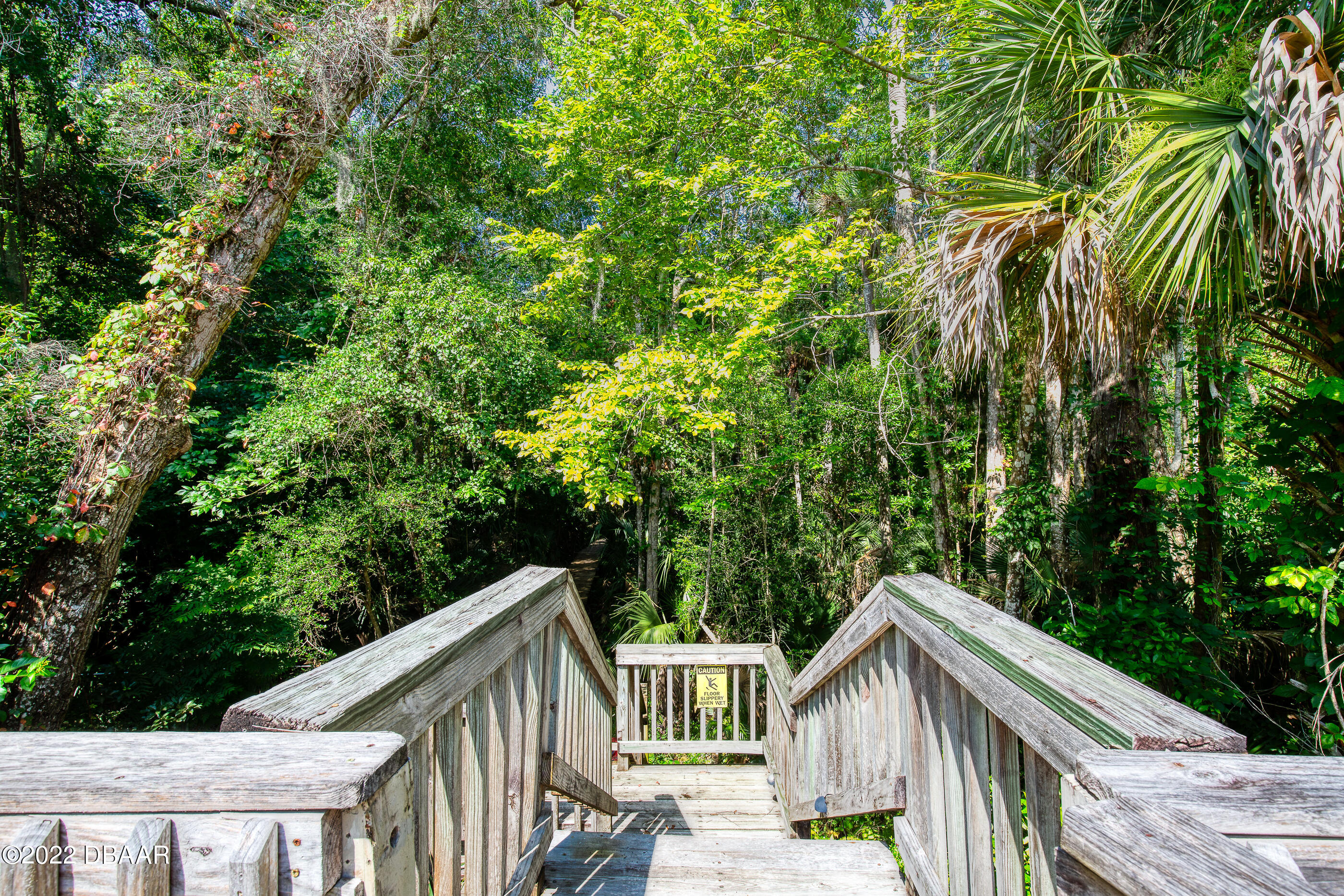 110 River Bluff Drive Ormond Beach, FL 32174 - Photo 53 of 57 a view of outdoor space and yard from deck