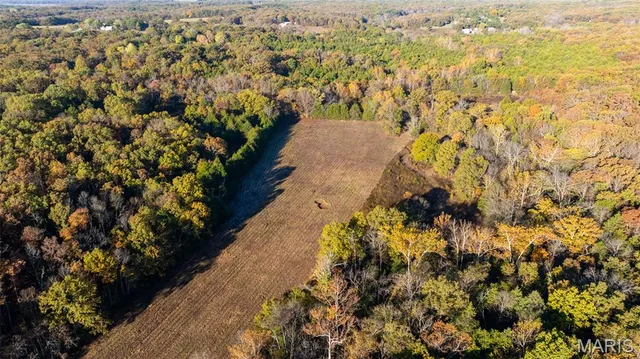 $206,793 | 0 Oak Forest Road, Bland, MO 65014