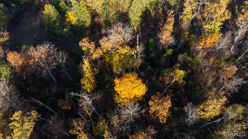 0 Oak Forest Road Bland, MO 65014 - Photo 11 of 40