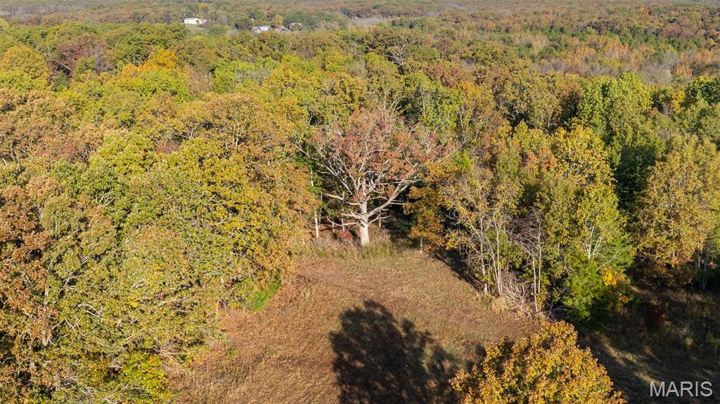 0 Oak Forest Road Bland, MO 65014 - Photo 12 of 40