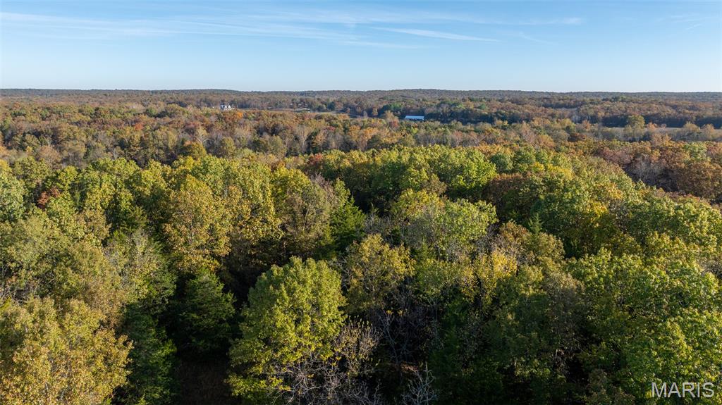 0 Oak Forest Road Bland, MO 65014 - Photo 13 of 40