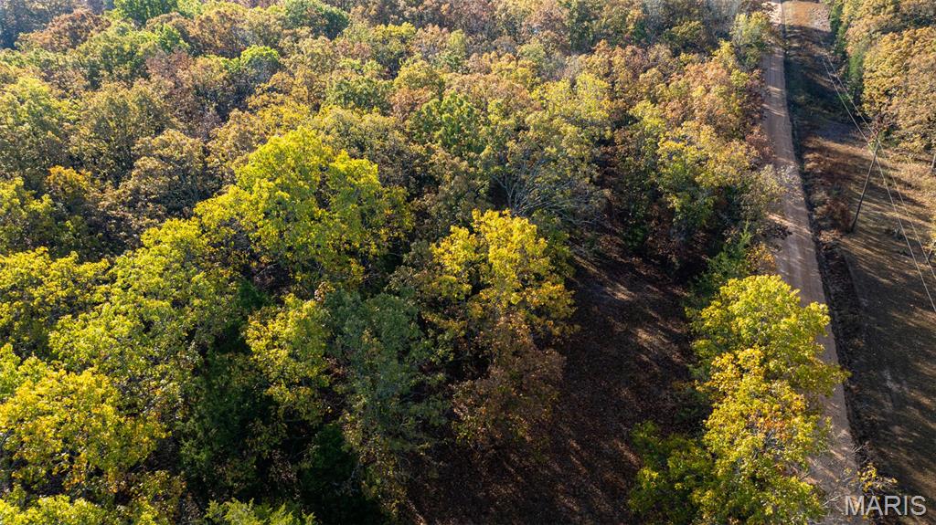 0 Oak Forest Road Bland, MO 65014 - Photo 15 of 40