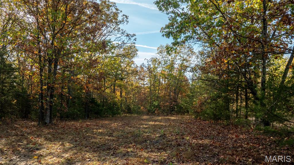 0 Oak Forest Road Bland, MO 65014 - Photo 17 of 40