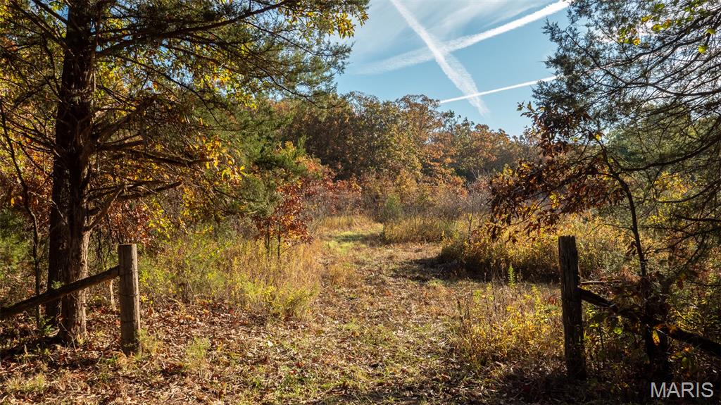 0 Oak Forest Road Bland, MO 65014 - Photo 18 of 40