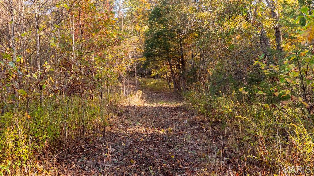 0 Oak Forest Road Bland, MO 65014 - Photo 19 of 40
