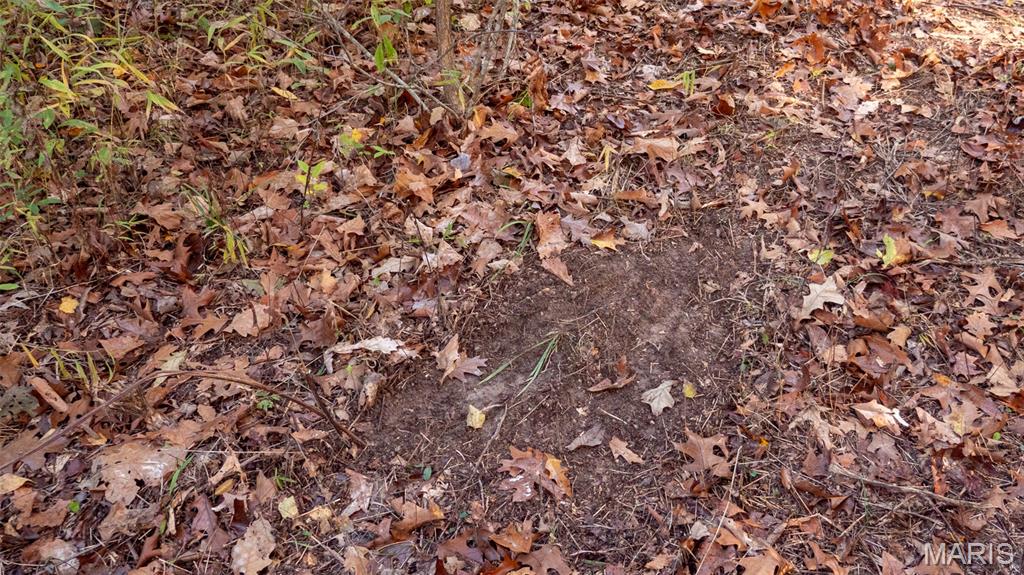 0 Oak Forest Road Bland, MO 65014 - Photo 20 of 40