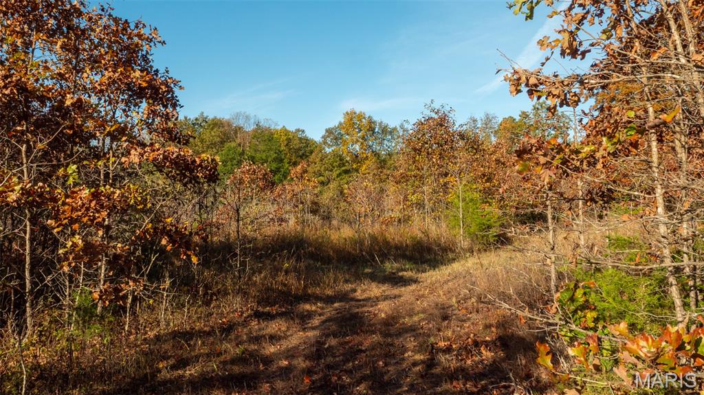 0 Oak Forest Road Bland, MO 65014 - Photo 21 of 40