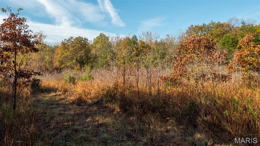 0 Oak Forest Road Bland, MO 65014 - Photo 22 of 40