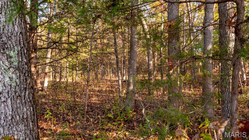 0 Oak Forest Road Bland, MO 65014 - Photo 23 of 40