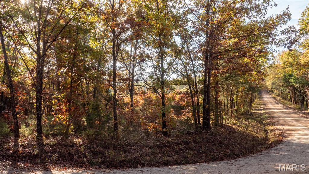 0 Oak Forest Road Bland, MO 65014 - Photo 24 of 40