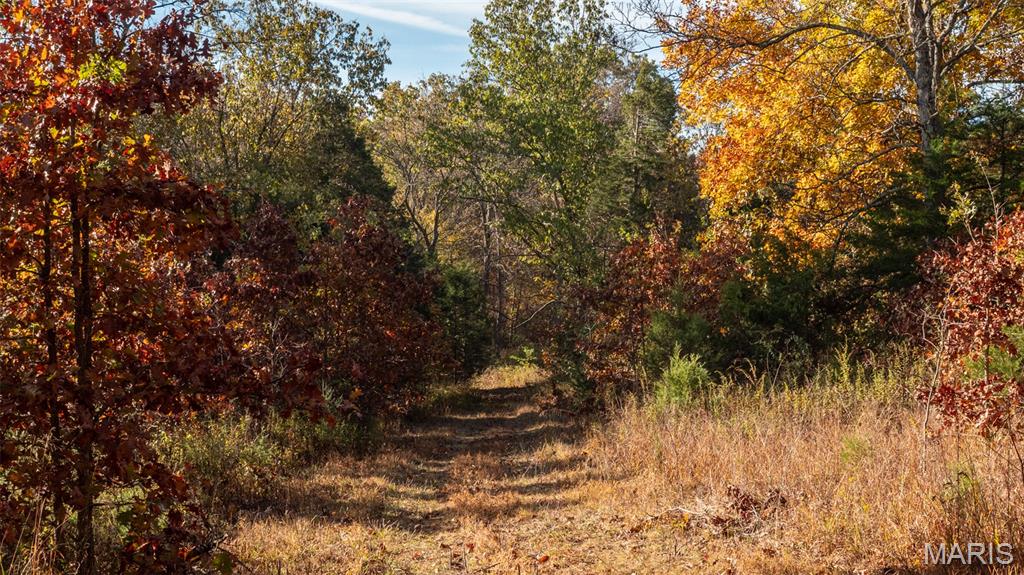 0 Oak Forest Road Bland, MO 65014 - Photo 25 of 40