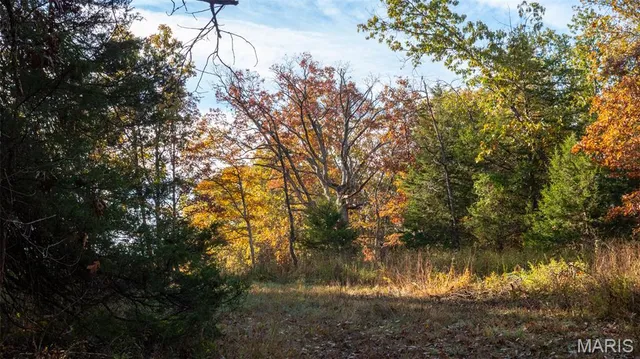 $206,793 | 0 Oak Forest Road, Bland, MO 65014