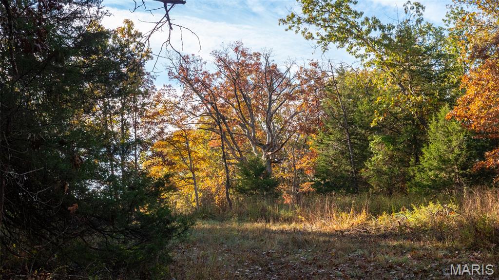 0 Oak Forest Road Bland, MO 65014 - Photo 26 of 40