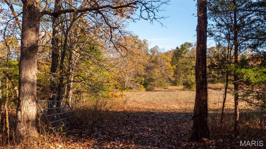 0 Oak Forest Road Bland, MO 65014 - Photo 28 of 40