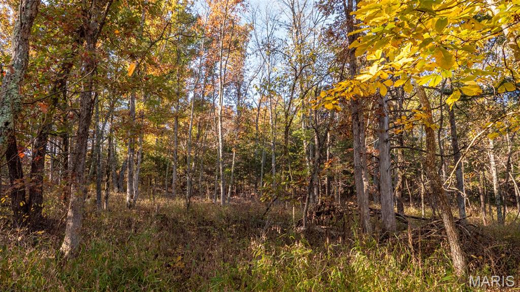 0 Oak Forest Road Bland, MO 65014 - Photo 29 of 40